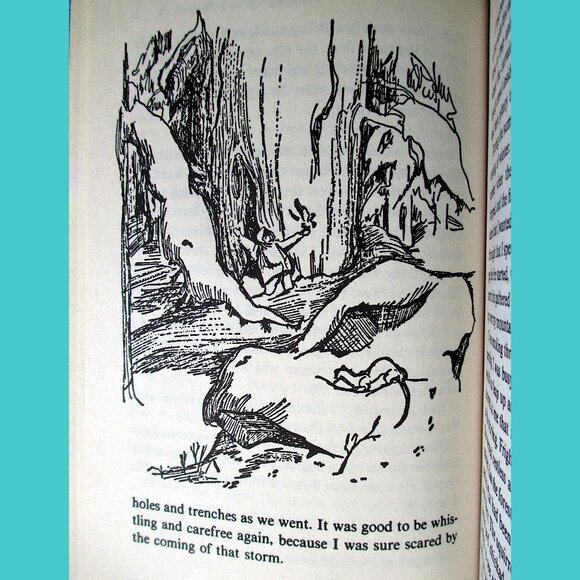Book: My Side of the Mountain, written & illustrated by Jean Craighead George - Picture 6 of 15